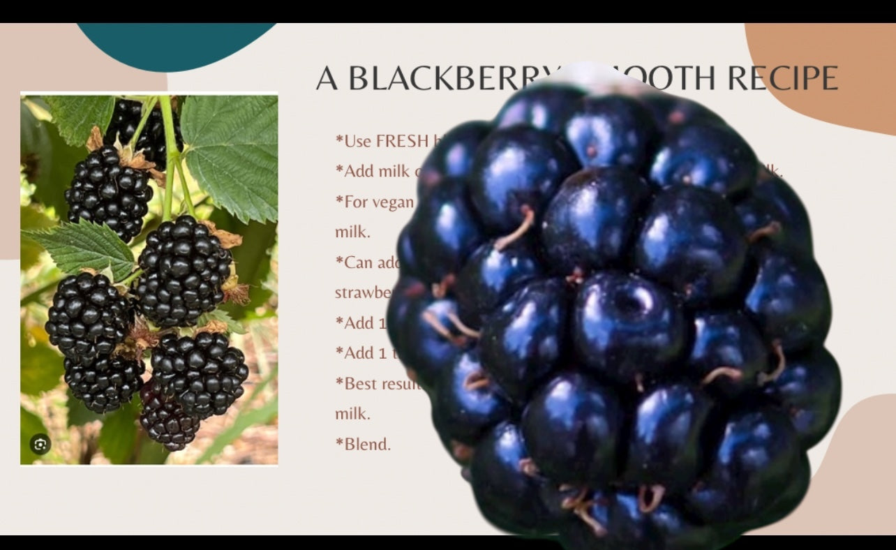 Blackberries with a close-up of a single berry and text about a blackberry smoothie recipe.